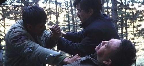 国产自乱,自力更生铸就辉煌