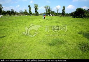 青青青草国产免费观看